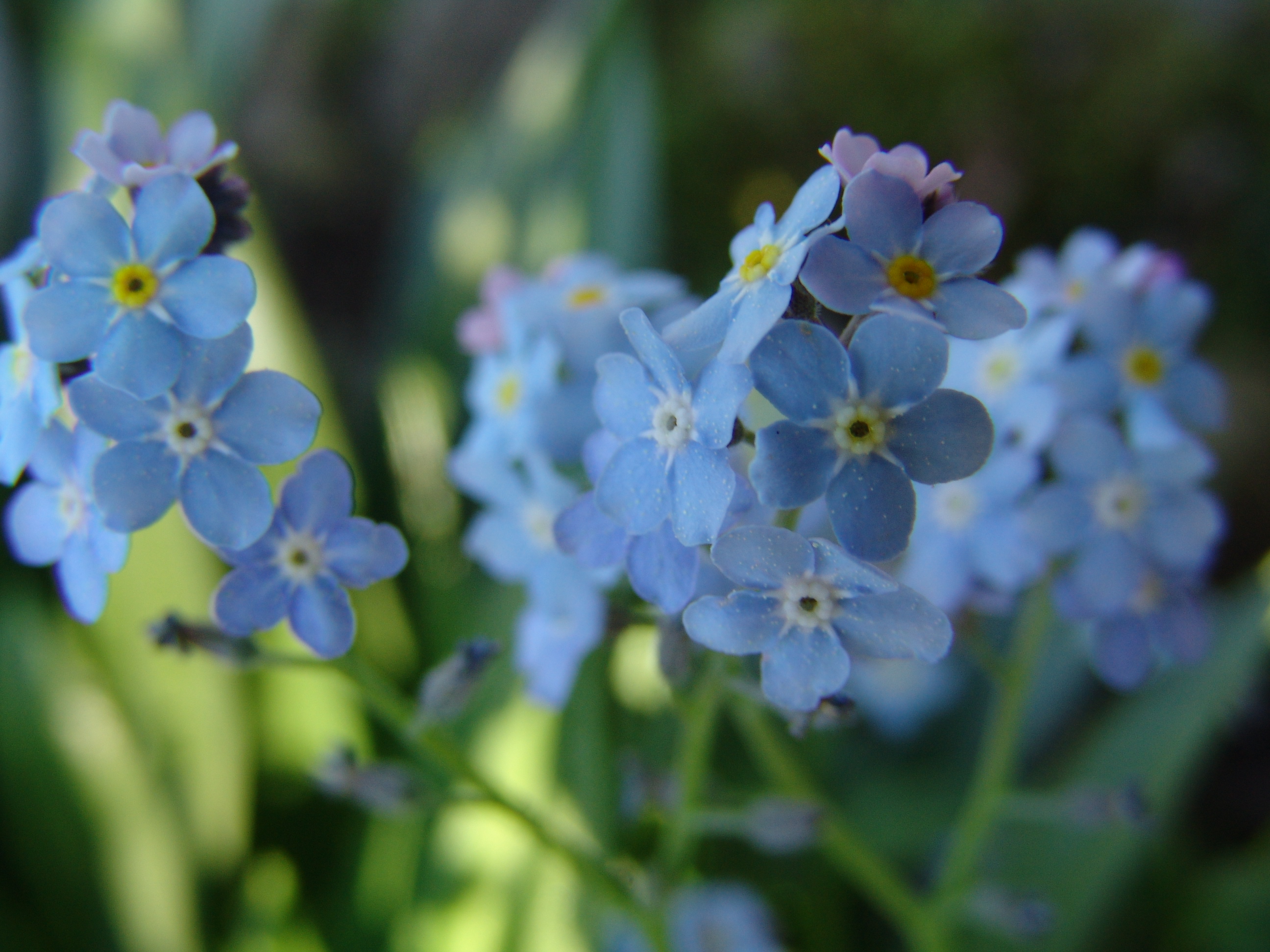 Die farbe blau im wohnen und leben – wohnwiese jette schlund Küche buche blau