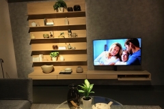 TV-Wohnkombination
