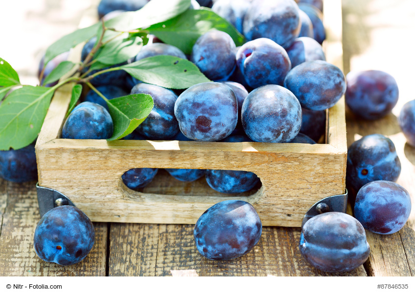 blue plums in a wooden box