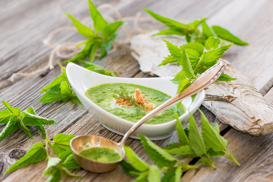Brennnesselsuppe