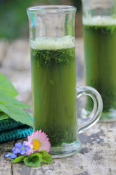 smoothie mit giersch