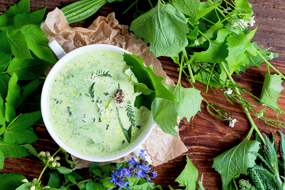 Selbstgemachte Suppe aus heimischen Wildkräutern (Wiesenkräute