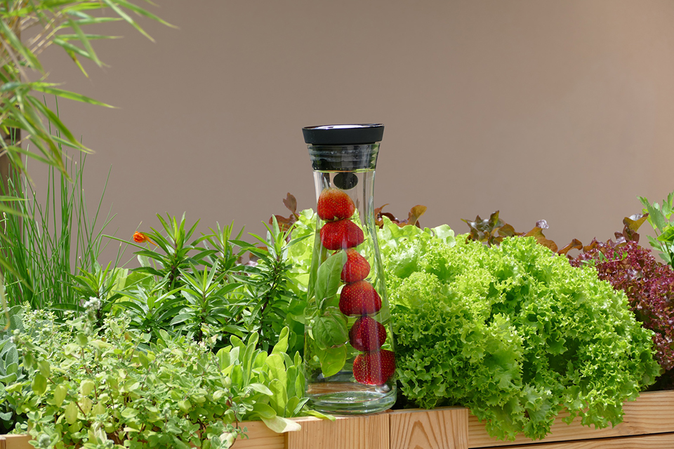Erfischendes Wasser mit Obst