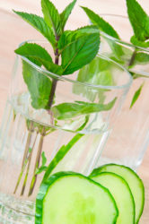 Wasser mit Kräutern und Pfefferminze